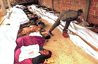 The recent mass slaughter of ethnic Albanians by Serbian forces is just one of the many horrors from which Americans will be shielded with Monday's passage of the Freedom From Information Act.